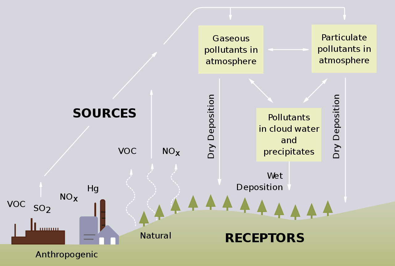 Sources and Receptors of NOx