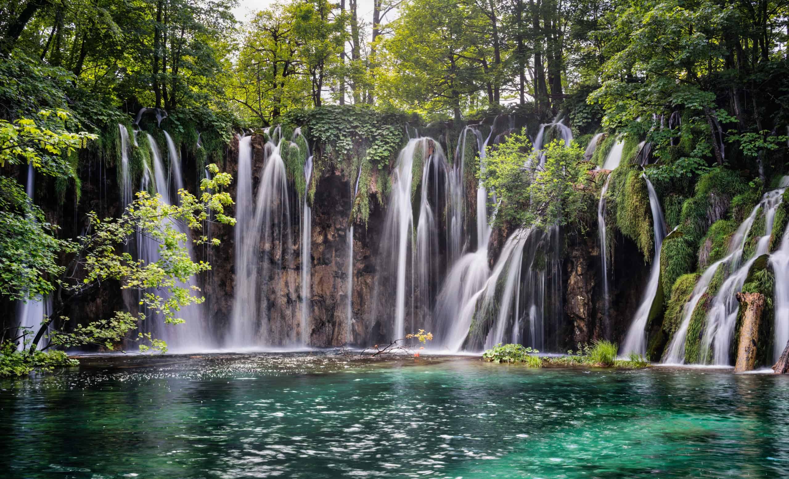 Mesmerizing view of plitvice lakes national park in croatia